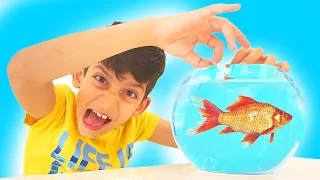 En el Acuario con Jason y Alex | Peces para Niños y Infantil