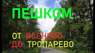 Пешком от Ясенево до Тропарево #влог