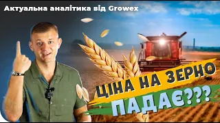 😰 ЦЕНА НА ЗЕРНО ПАДАЕТ. АНАЛИТИКА НОВОСТЕЙ ОТ GROWEX