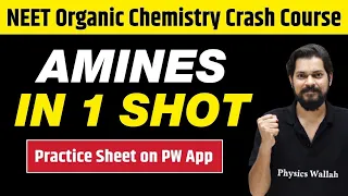 AMINES in One Shot - All Concepts, Tricks & PYQs | Class 12 | NEET