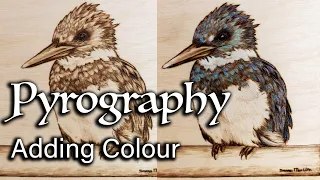 Adding Colour to Wood Burning? | King Fisher with Colourful Feathers | Pyrography Time-lapse