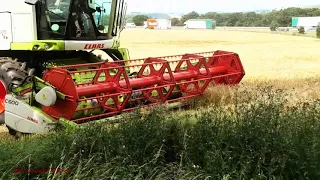 Harvest '20 - Claas Tucano in the Barley