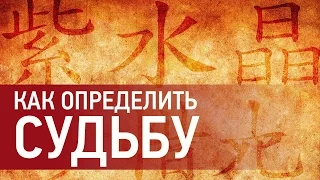 Най Инь: предсказание судьбы. Как дата рождения влияет на судьбу и характер человека. Все по Фен Шуй