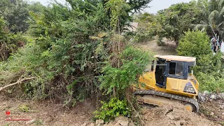 The New Project.!! Clear Trimming Tree Skills Operator Push With Komatsu_DR51PX Bulldozer Truck Work