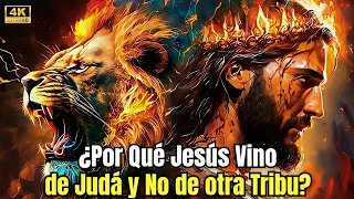 ¿Por qué JESÚS PROVIENE de JUDÁ?: El linaje del León