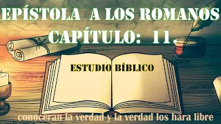 EPÍSTOLA A LOS ROMANOS CAPÍTULO: 11   ESTUDIO BIBLICO