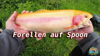 Teamangler Björn unterwegs: Forellenjagd am Friesenweiher mit handlackierten Spoons!