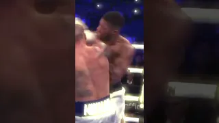 Usyk (усик) ALMOST KNOCKOUT Anthony Joshua