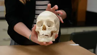 How forensic anthropologists identify human remains