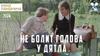 Не болит голова у дятла (1974 год) мелодрама