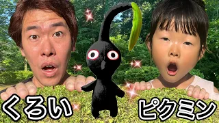 【ごっこ遊び】伝説の黒いピクミンを探す冒険に出たらまさかの…