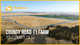 County Rd 11 Farm | Yolo County, California