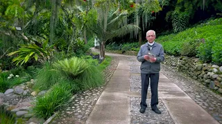 Evangelio de hoy Martes 21 de Mayo de 2024 Padre Efraín Arquidiócesis de Manizales