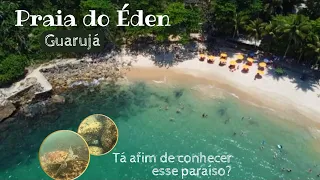 Praia do Éden🏝🤿🐢 | Guarujá [ DICAS/TUDO QUE VOCÊ PRECISA SABER]