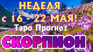 СКОРПИОН ♏🌷🌷🌷 НЕДЕЛЯ с 16 - 22 МАЯ 2022 года Таро Прогноз ГОРОСКОП Angel Tarot Forecasts