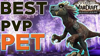 Hunter Solo Guide: Get the BEST PvP Pet for Dominance! 10.26