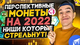 ТОП монет на 2022 | Перспективные ниши для РОСТА альткоинов ?