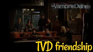 TVD friendship - Take on the world - You Me at Six (Picture  + Lyrics )