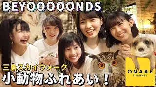 BEYOOOOONDS《三島スカイウォーク》小動物ふれあい！