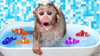 Baby Monkey Chu Chu Bathing In Bathtub And Eating Watermelon With Puppies In The Garden