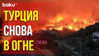 Масштабные Лесные Пожары в Турции Возобновились