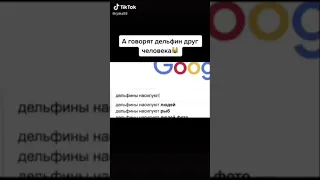 Дельфин друг человека