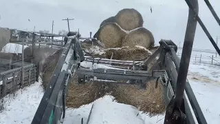 Трудовой день / Спальное место обновили / Сено установили / Дров притащили