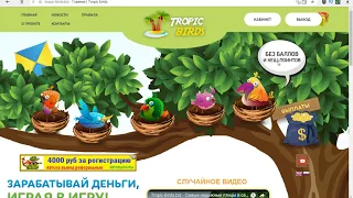 Tropic-Birds.biz Экономическая Игра Без Баллов Платит 7 Месяцев