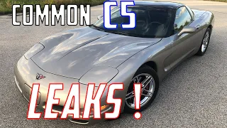 C5 Corvette Leaks (Every leak type discussed & what to do next!)