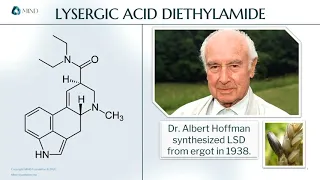 Elements of Science | Lysergic Acid Diethylamide