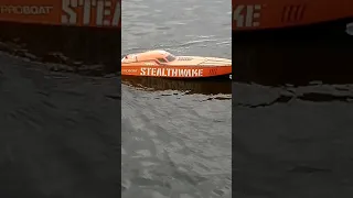 Proboat STEALTHWAKE READY TO RUN