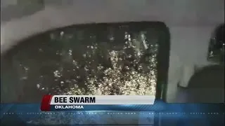 Bees swarm patrol car in Oklahoma
