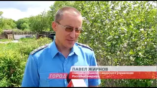 О заслуженном методе борьбы с огородными ворами