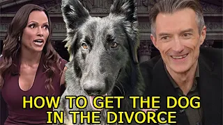 How to KEEP the family dog when you get DIVORCED