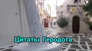 Цитаты Геродота