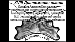 Особенности антиоксидантной защиты отдельных представителей пеннатных диатомовых водорослей