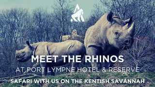 Port Lympne Encounters - MEET THE RHINOS