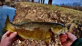 Fishing for Smallmouth in January