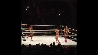 The Bella twins returns to WWE! (2018)