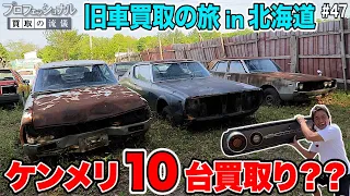 合計購入金額（秘）万円… 北海道を駆け回り旧車を買取りまくる！！土に埋まった宝の山も発見！！ケンメリ・ハコスカ・ジャパン・カマロ・セドリック…登場！！ #47