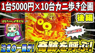 【遊1414連】1台5000円を10台カニ歩き!!海プロ2人が勝てるのか検証してみた!!(後編)【P大海物語5ブラック】【Pスーパー海物語IN沖縄5】