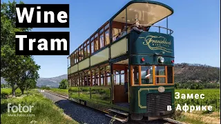 Дегустация вин ЮАР. Franschhoek Wine Tram. Винный трамвай в Кейптауне. ЮАР. Замес в Африке, часть 22