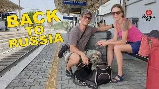 Back to Russia - Новое путешествие Veggie Channel в Россию, лето 2019