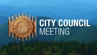 City Council Meeting - January 12, 2016