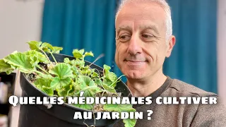 Que planter au jardin ? Choix des plantes médicinales.