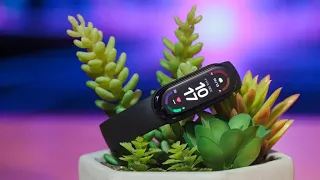 Xiaomi Mi Band 7 Global and Chinese Version | Main Differences (2022)