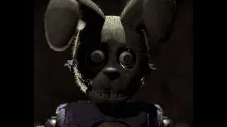 springbonnie model test