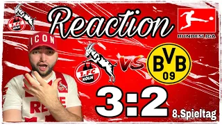 1.FC Köln: Reaction auf 1.FC Köln vs. BVB 3:2! - Stark kämpfende & laufende Kölner ringen BVB nieder