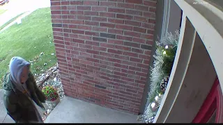 ‘Block her in! She’s stealing’ I Suspected porch pirate surprised by couple returning home