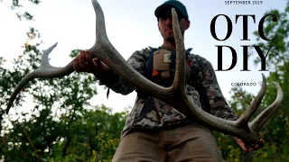 BACKCOUNTRY ELK HUNTING IN COLORADO | OTC/DIY